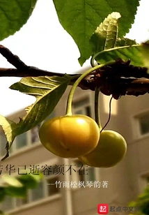 Youth is Gone and Beauty is No Longer There