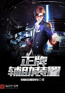 Genuine Auxiliary Device