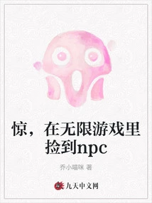 Surprised, I Found an Npc in the Infinite Game