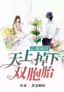 The Ceo Caught It, and Twins Fell from the Sky