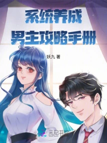 System Development: Male Protagonist Strategy Manual