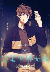 Invincible from a Perfect World