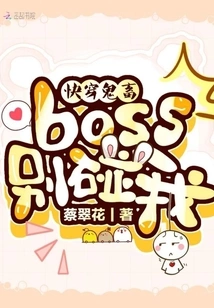 Go Through the Ghost Boss and Don't Touch Me