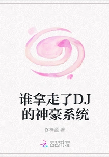 Who Took Away Dj's Shenhao System?