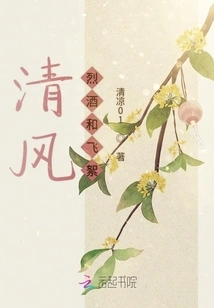 Qingfeng Liquor and Feixu