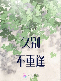 Long Time No See Again