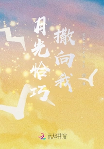 The Moonlight Happened to Shine on Me