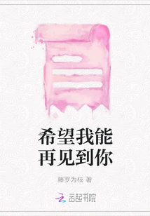 Hope I Can See You Again