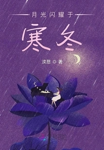 Moonlight Shines in the Cold Winter