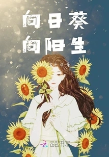 Sunflowers Growing Towards the Sun