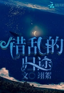 A Confusing Journey Home