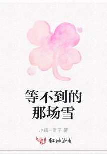 The Snow That I Can't Wait For