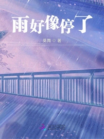 The Rain Seems to Have Stopped