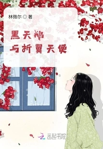 Black Swan and Angel with Broken Wings