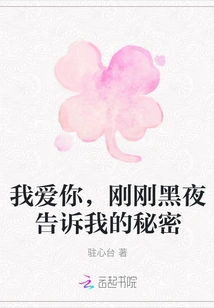 I Love You, the Secret the Night Just Told Me