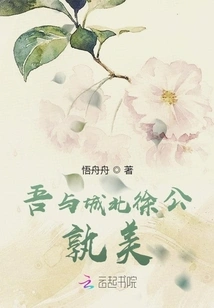 Who is More Beautiful between Me and Xu Gong in the North of the City?