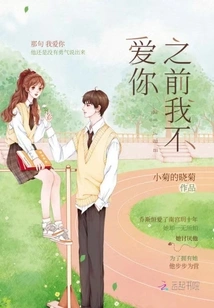 I Didn't Love You Before