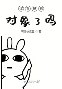 Have You Seen My Partner?