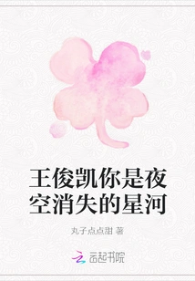 Wang Junkai, You Are the Galaxy Disappearing in the Night Sky