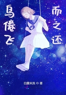 The Bird is Tired and Flies Back