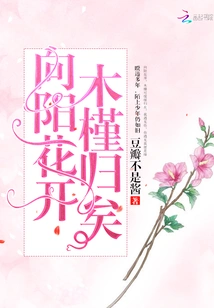 The Sunflowers Bloom and the Hibiscus Returns