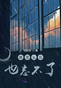 I Can't Forget it No Matter What