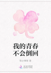 My Youth Will Not Go Back