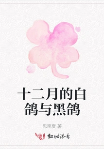 White and Black Doves in December