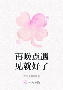 It Would Be Nice If We Met Later