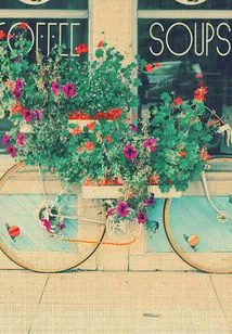 Dongxiang Romantic Days