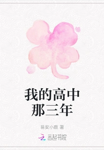 My Three Years in High School