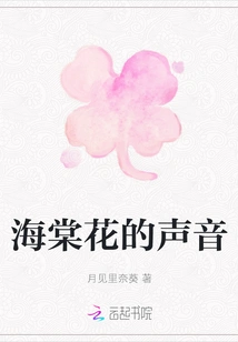 The Voice of Begonia Flower