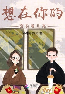 I Want to See the Moon in Front of Your Window