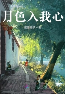 The Moonlight Enters My Heart