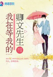 I'm Waiting for My Mr. Qingwen