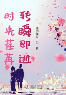 Time Flies, Fleeting