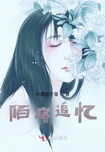 Memories of Strangers