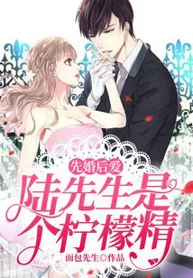 Marriage First, Love Later: Mr. Lu is a Lemon Spirit