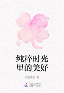 The Beauty of Pure Time