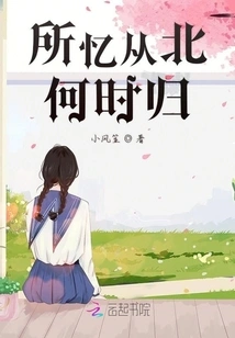 I Remember When I Returned from the North