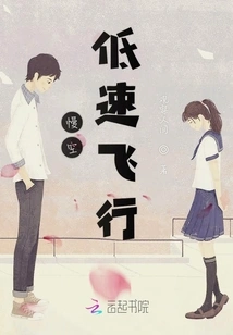 Slow Altitude and Low Speed Flight