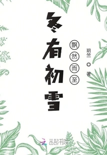 The First Snow Falls in Winter