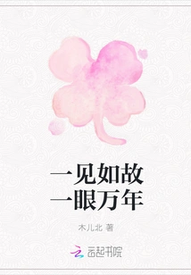 Feel Like Old Friends at First Sight