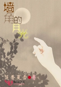 Moonlight in the Corner