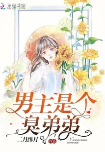 The Male Protagonist is a Bad Brother