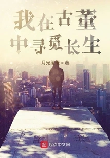 I Am Looking for Immortality in Antiques