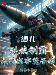 Northern Myanmar: Technological Dominance Begins with Escaping from Prison