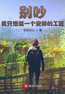 Don't Make Any Noise, I Just Want to Be a Quiet Craftsman