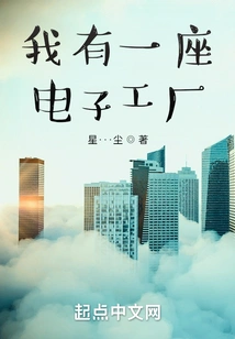 I Have an Electronics Factory