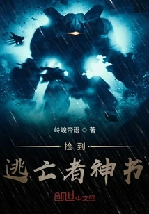 Picked up the Fugitive Book